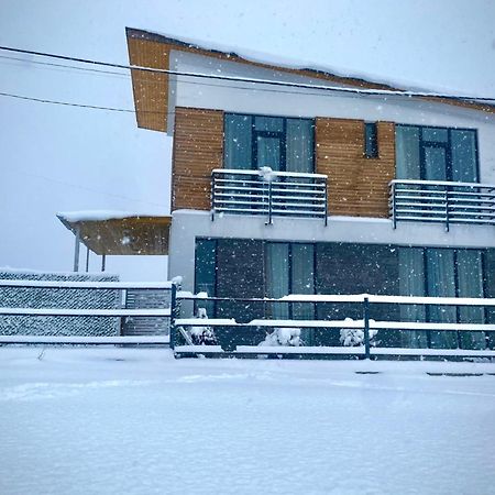 Cottage Marta Sadgeri Borjomi Exterior photo